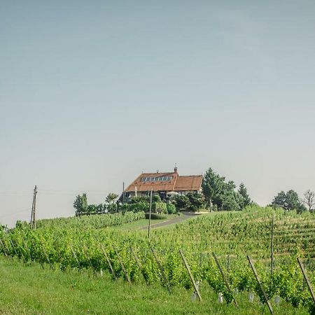 Taverna & Wine Jeruzalem Ivanjkovci Extérieur photo