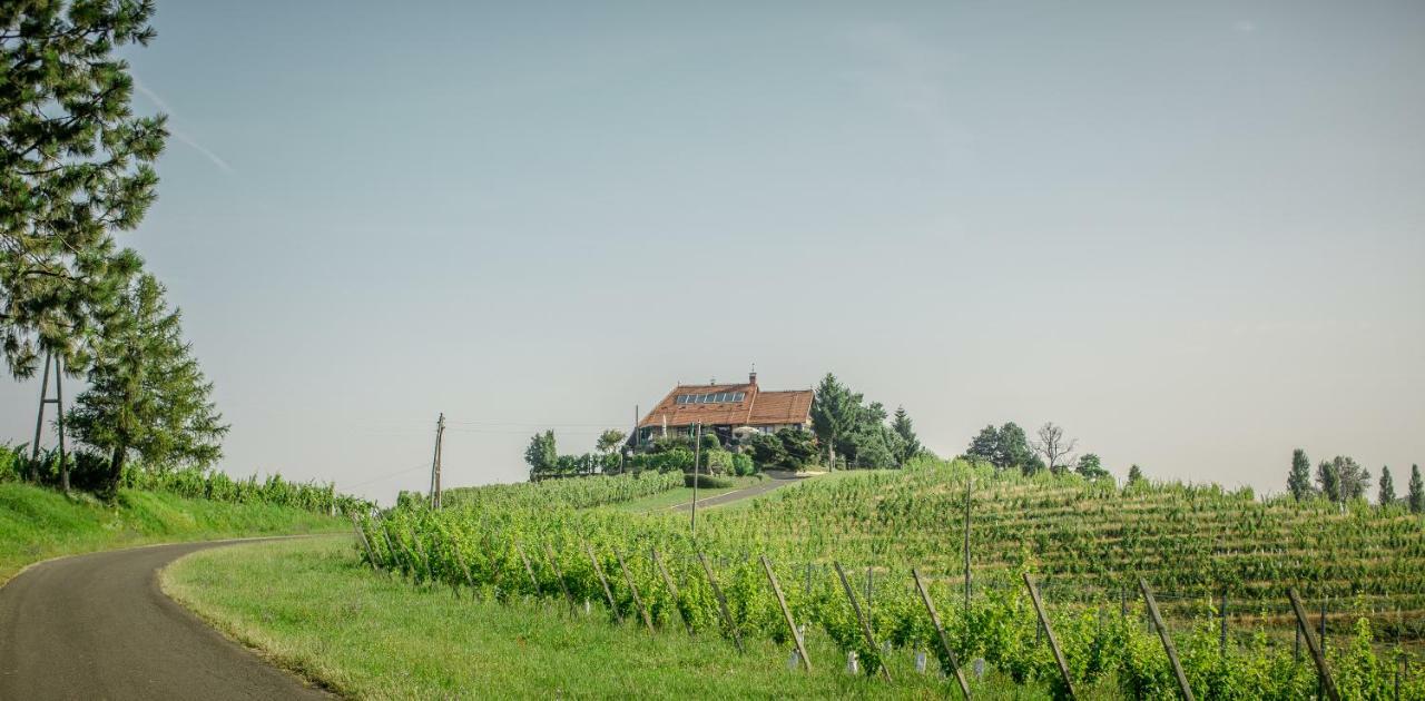 Taverna & Wine Jeruzalem Ivanjkovci Extérieur photo